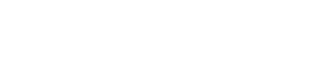 NEWS Logo